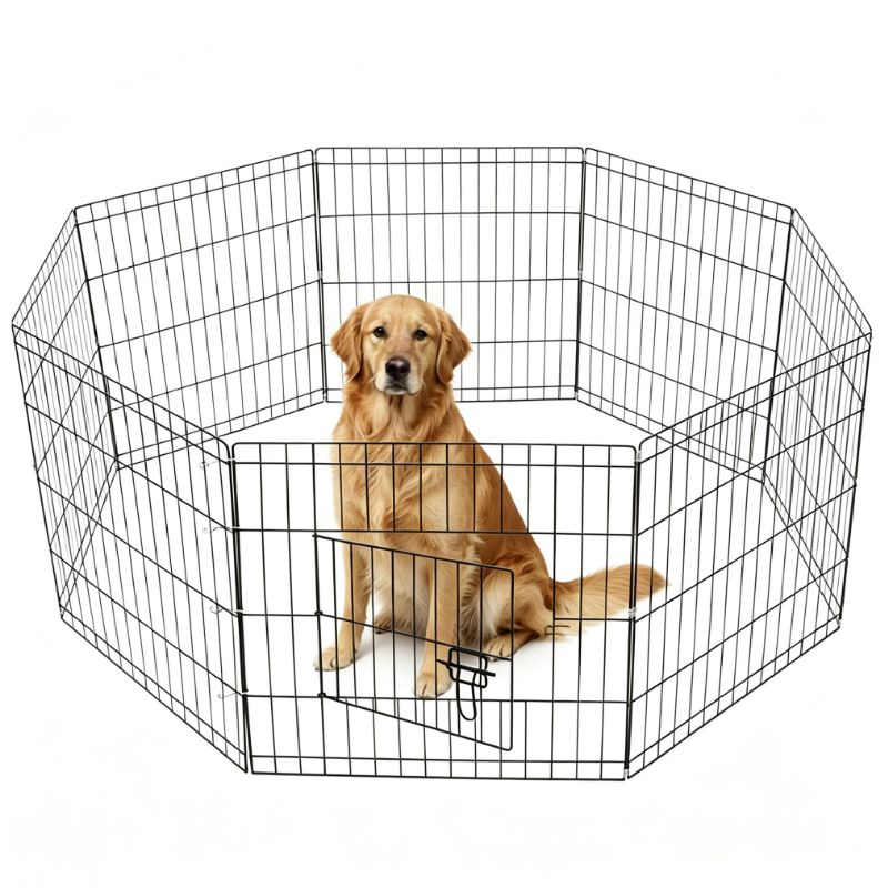 Dog Kennel