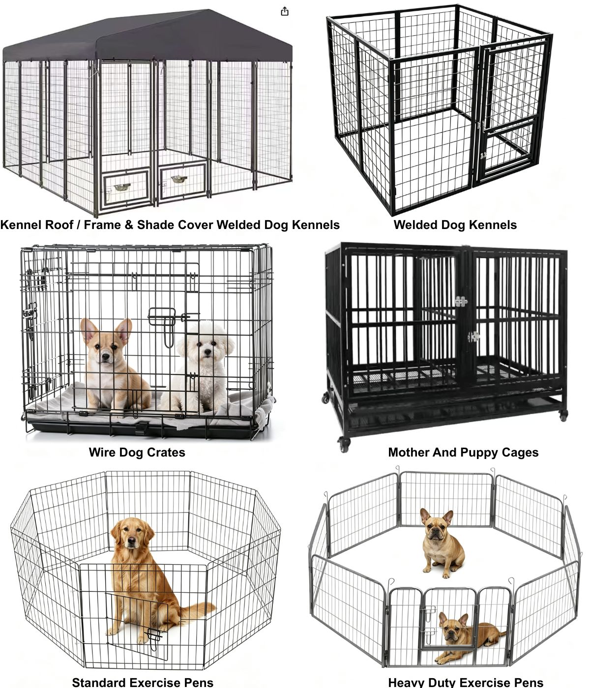 Dog Kennel