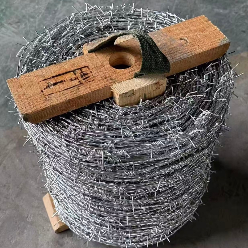 Galvanized Barbed Wire