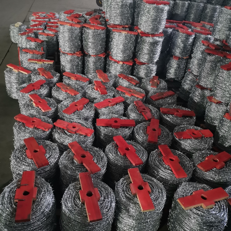 Galvanized Barbed Wire