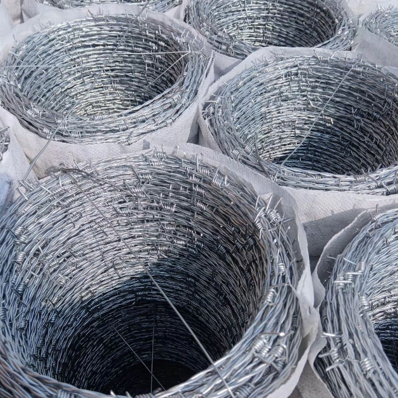 Galvanized Barbed Wire