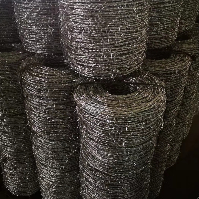 Galvanized Barbed Wire