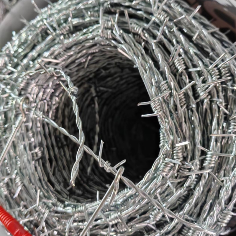 Galvanized Barbed Wire