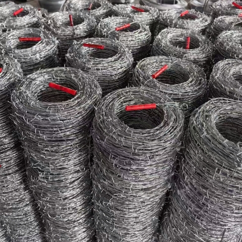 Hot Dipped Galvanized Barbed Wire Single & Double Twisted Strand Security Fence