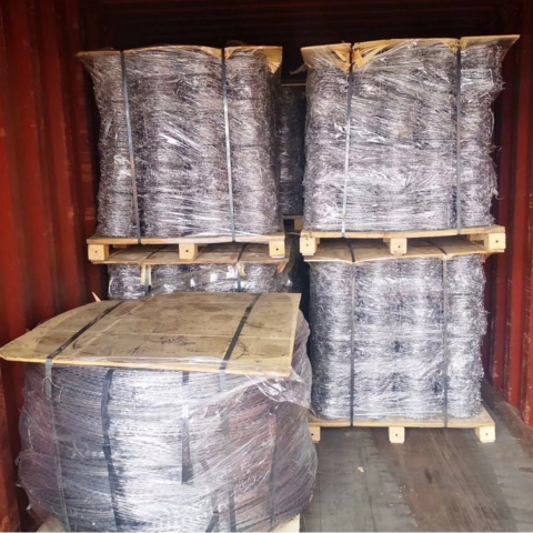 Hot Dipped Galvanized Barbed Wire Single & Double Twisted Strand Security Fence Hot Dipped Galvanized Barbed Wire Single & Double Twisted Strand Security Fence
