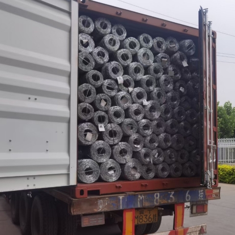 Hot Dipped Galvanized Barbed Wire Single & Double Twisted Strand Security Fence Hot Dipped Galvanized Barbed Wire Single & Double Twisted Strand Security Fence