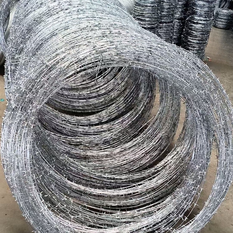 Concertina Barbed Wire