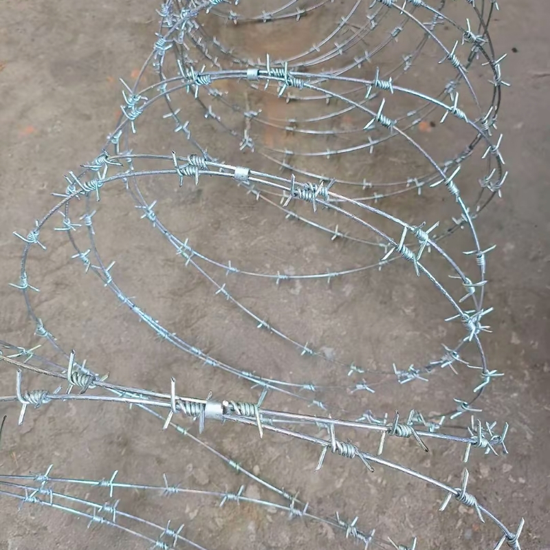 Concertina Barbed Wire