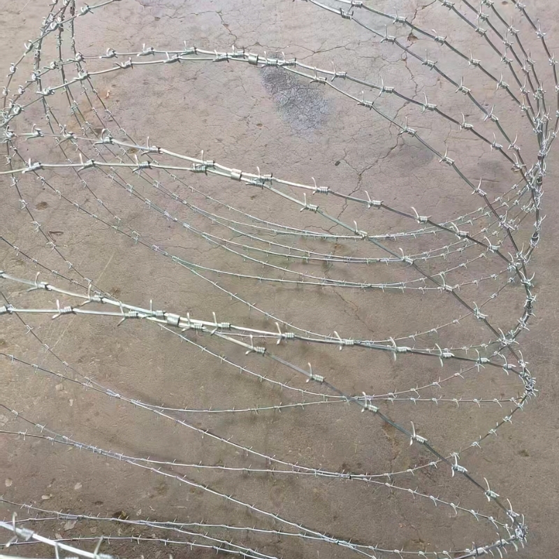 Concertina Barbed Wire