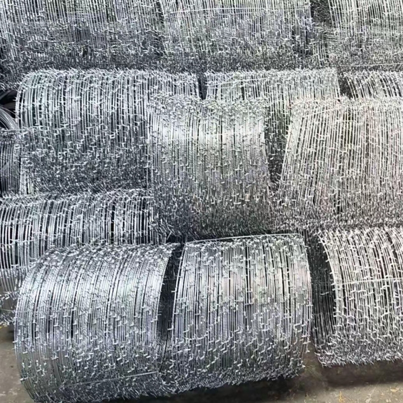 Concertina Barbed Wire