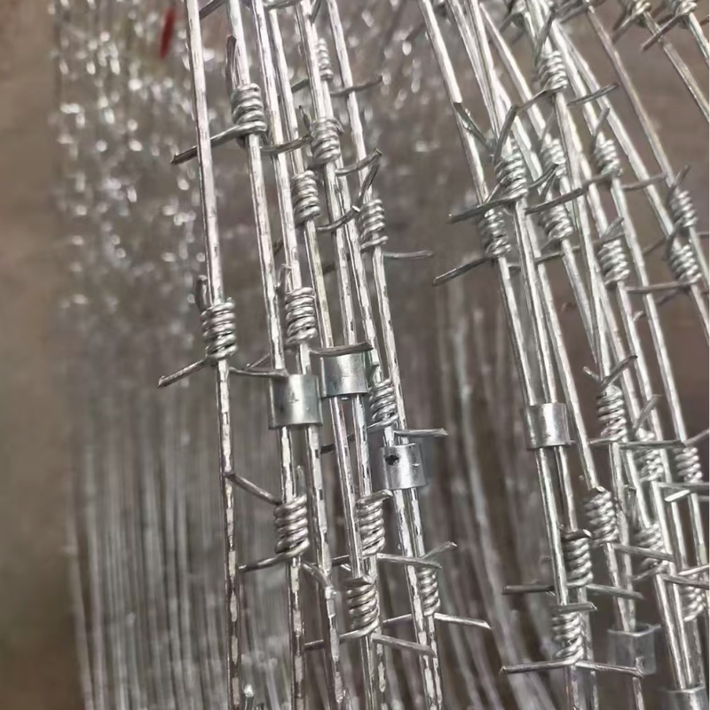 Concertina Barbed Wire