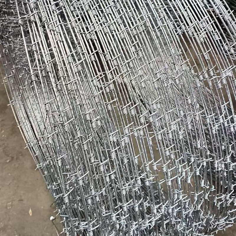 Concertina Barbed Wire