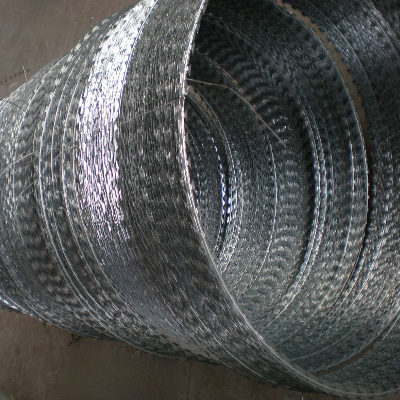 Galvanized Concertina Razor Wire