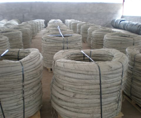 Galvanized Concertina Razor Wire