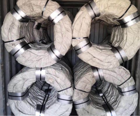 Galvanized Concertina Razor Wire