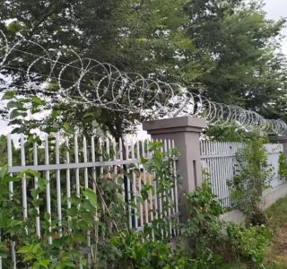 Galvanized Concertina Razor Wire Galvanized Concertina Razor Wire