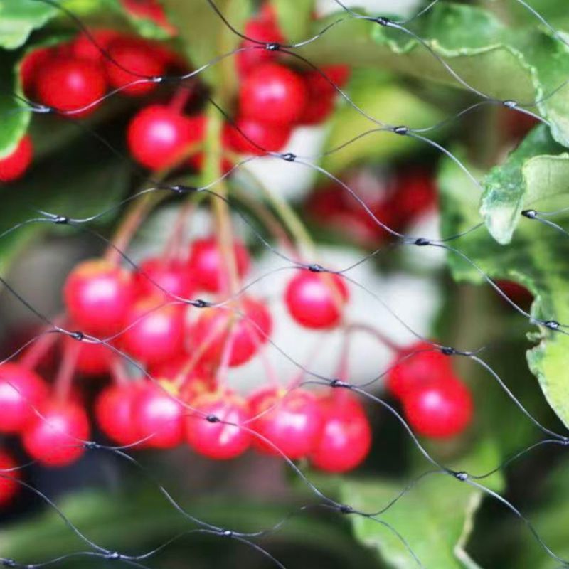 Extruded Bird Netting