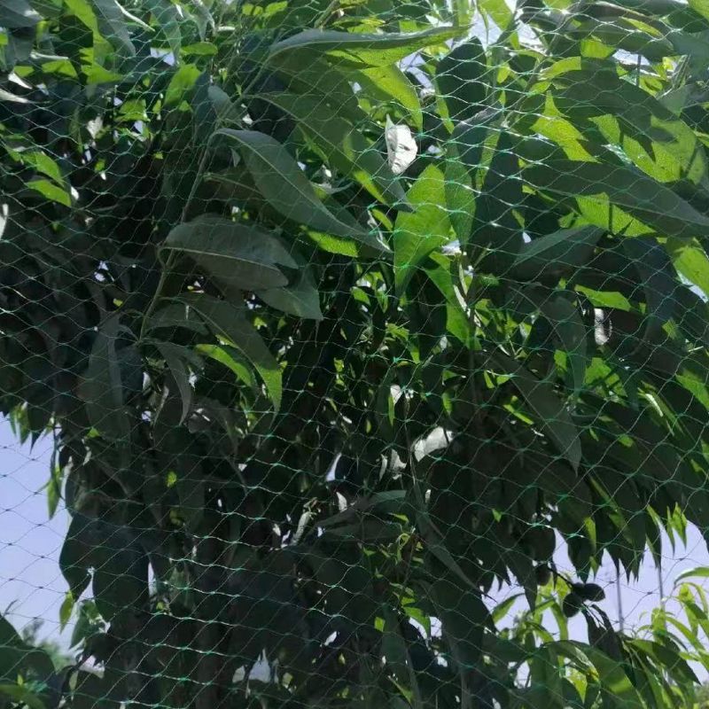Extruded Bird Netting